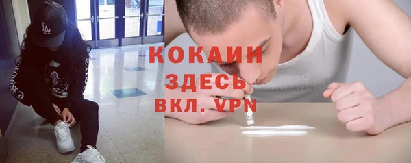 молекула духа Зеленокумск
