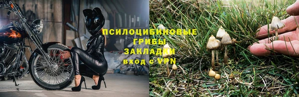 эйфоретик Зерноград