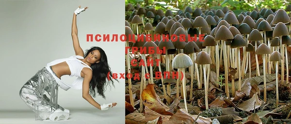 молекула духа Зеленокумск