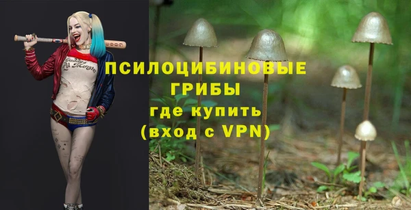 молекула духа Зеленокумск