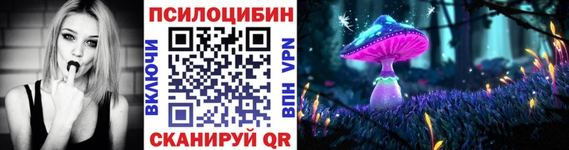 Купить  Инсар  Галлюциногенные грибы мухоморы 